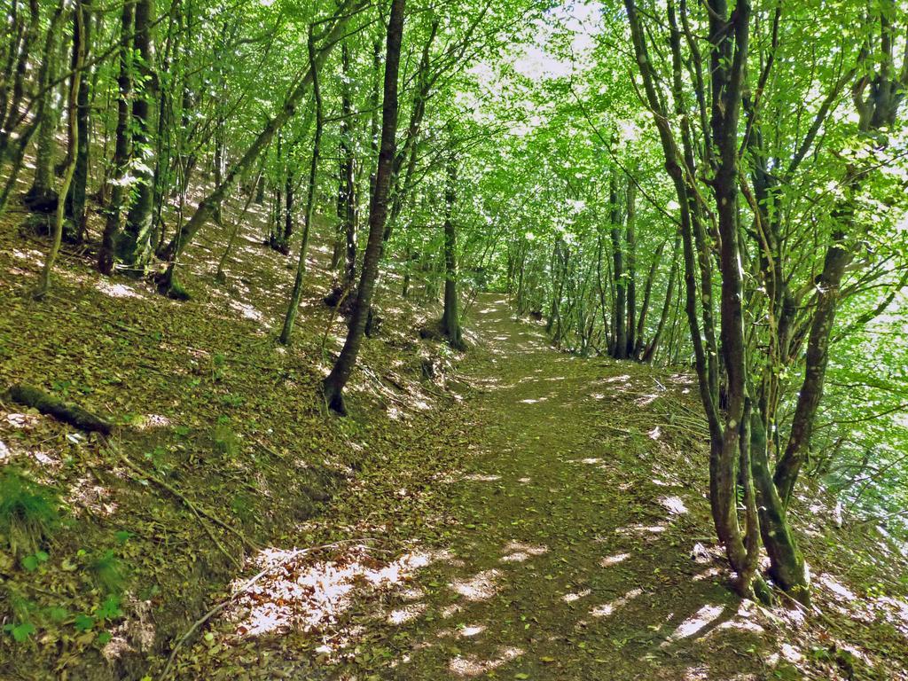 Le Panche * Pistoia
